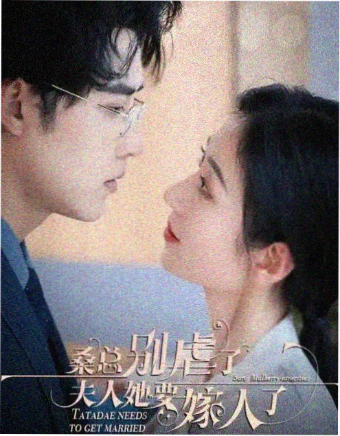 星辰影视在线都市剧长夜将尽海报